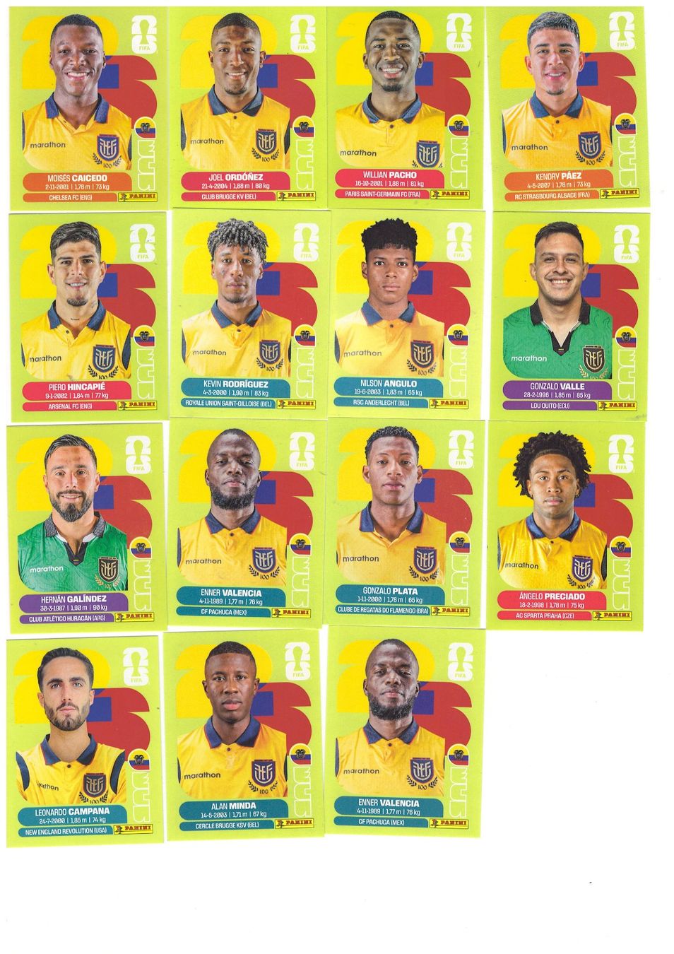 Panini Carte collezionabili: Panini WM 2026 (Ecuador) – Nuovo (secondo la descrizione) da Tegerfelden venduto da qualmbalgge
