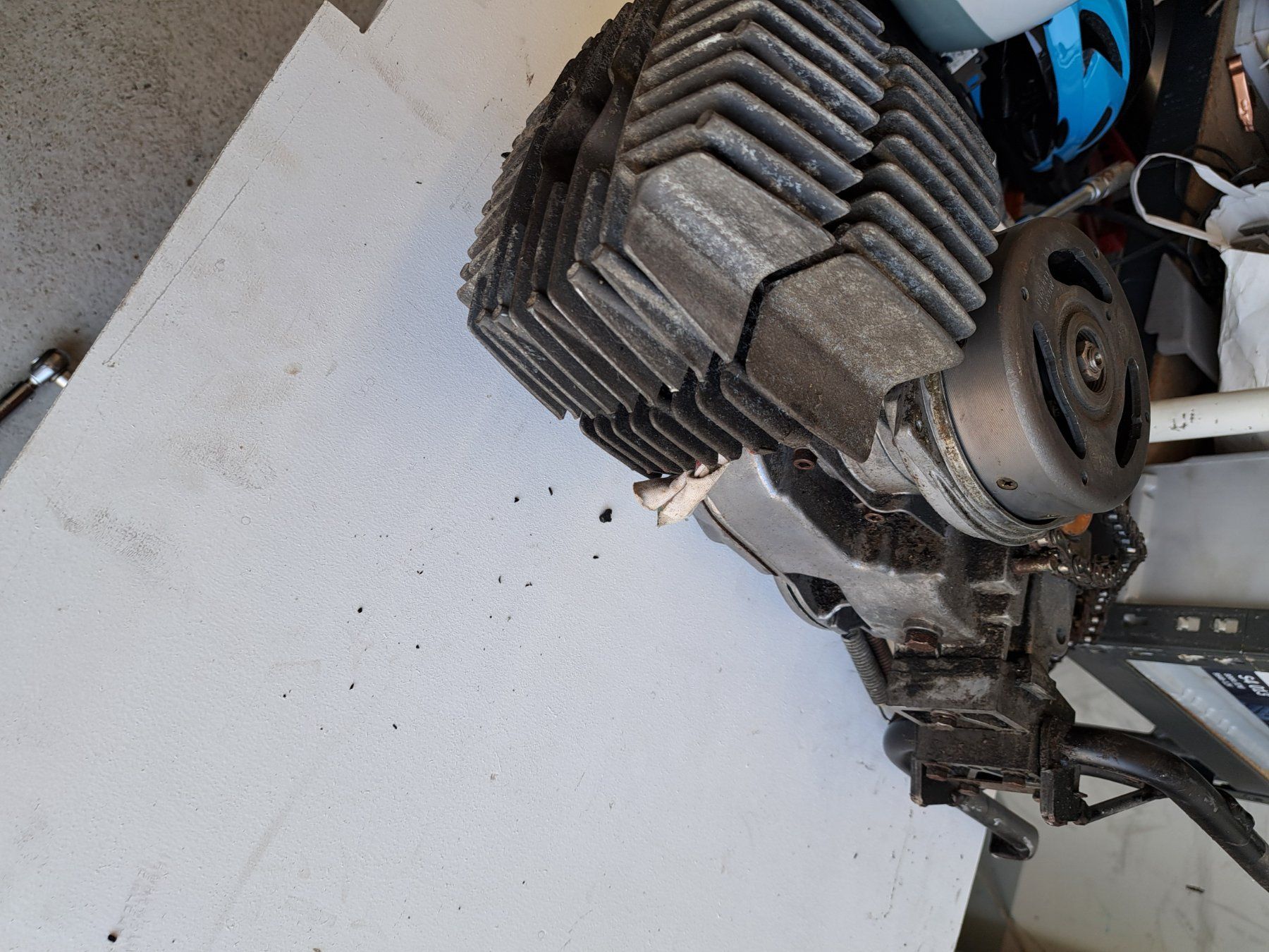 Puch Moteurs: Puch Mofa Motor  E50 – D'occasion à Holziken par Lenz-Driver 4