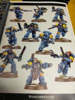 Blutwölfe, Blood Claws des Space Wulfes, Warhammer 40k