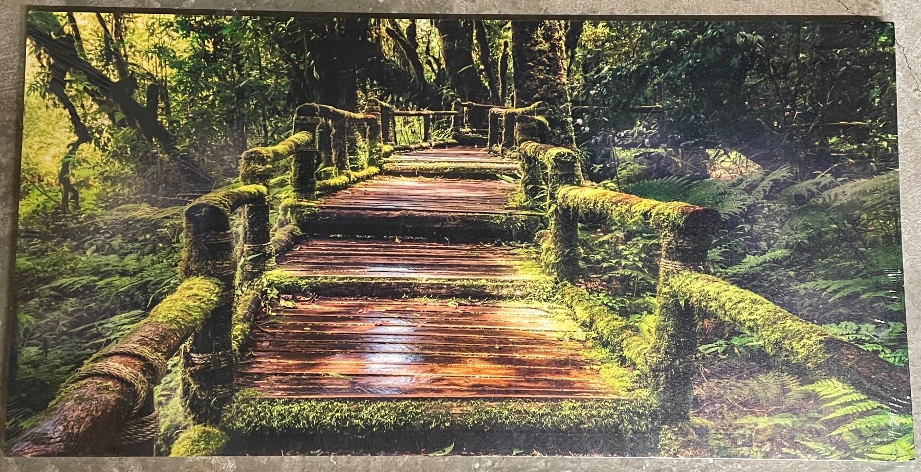 Dipinti: Leinwandbild “Waldbrücke” – Usato da Zürich venduto da loj_t79k
