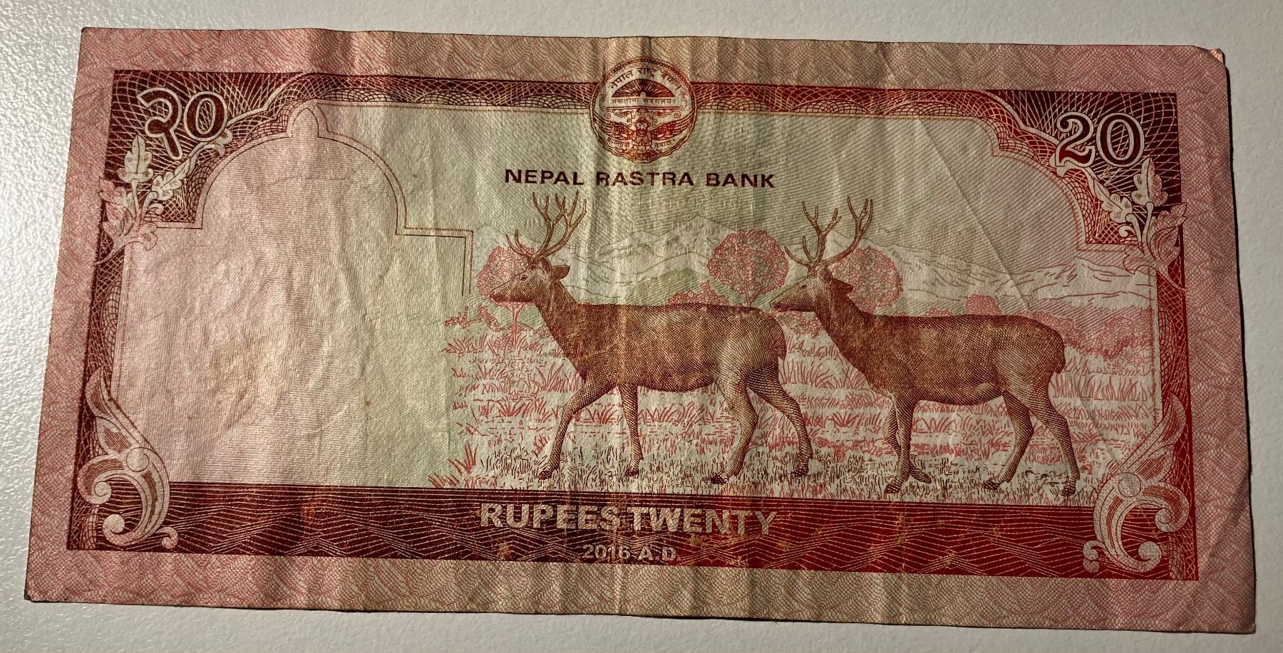 Banconote: Nepal 20 Rupees 2016 – Usato da Algetshausen venduto da Carrhard 1