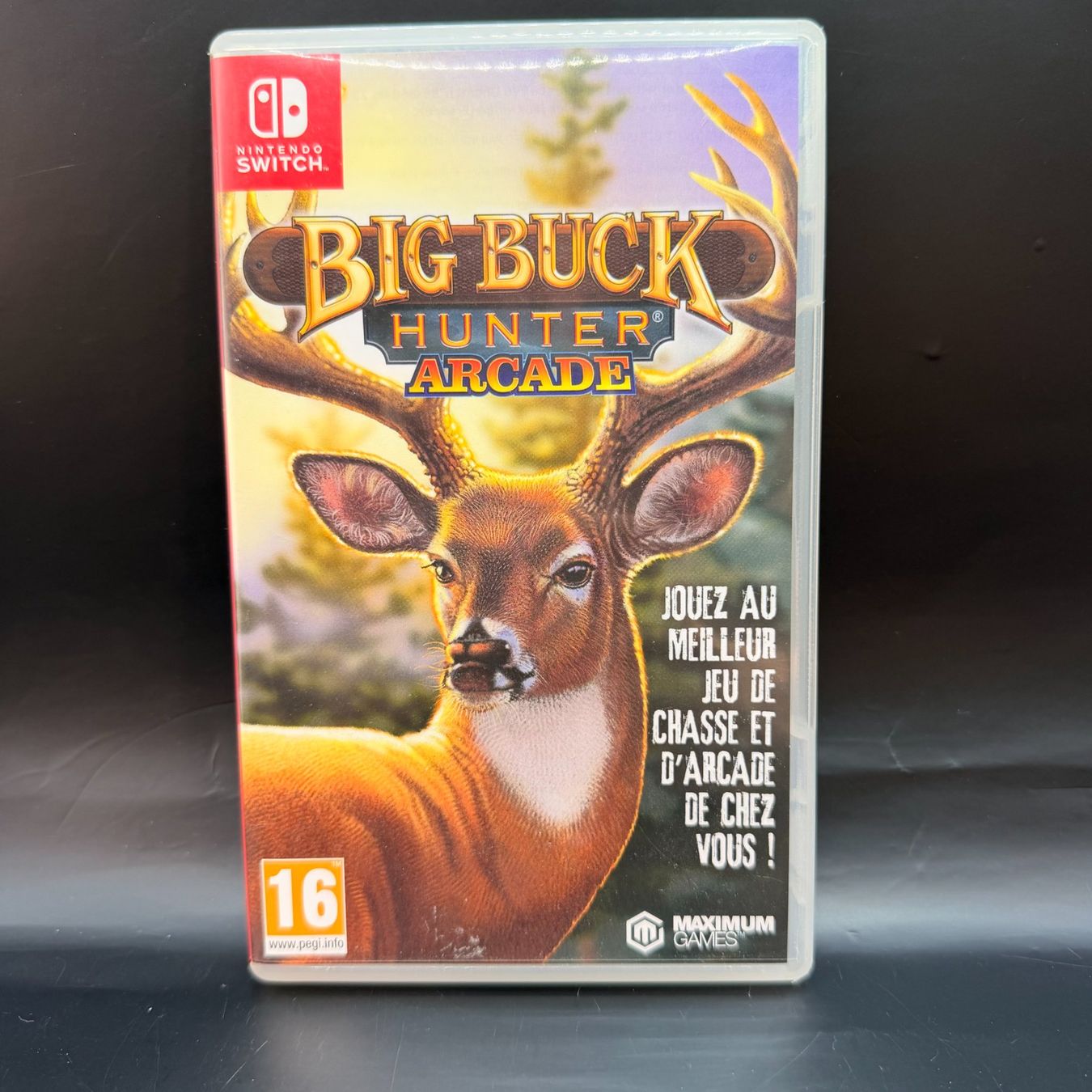 Nintendo Giochi: Big Buck Hunter Arcade Switch – Usato da Düdingen venduto da Nerdworld