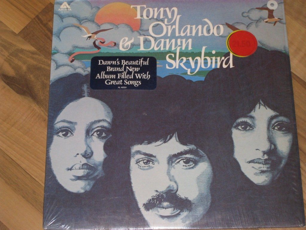 Dischi in vinile: LP - TONY ORLANDO & DAWN - SKYBIRD – Usato da Steckborn venduto da Quo7