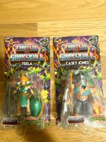 Motu Masters Universe TURTLES GRAYSKULL Casey tmnt teela