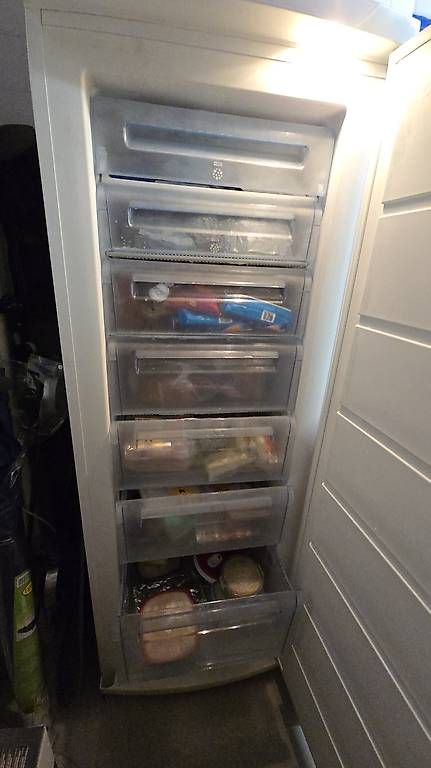Congelatori: Stand-Gefrierschrank 300L Elektrolux – Usato da Fehraltorf venduto da eko_sr9y 4