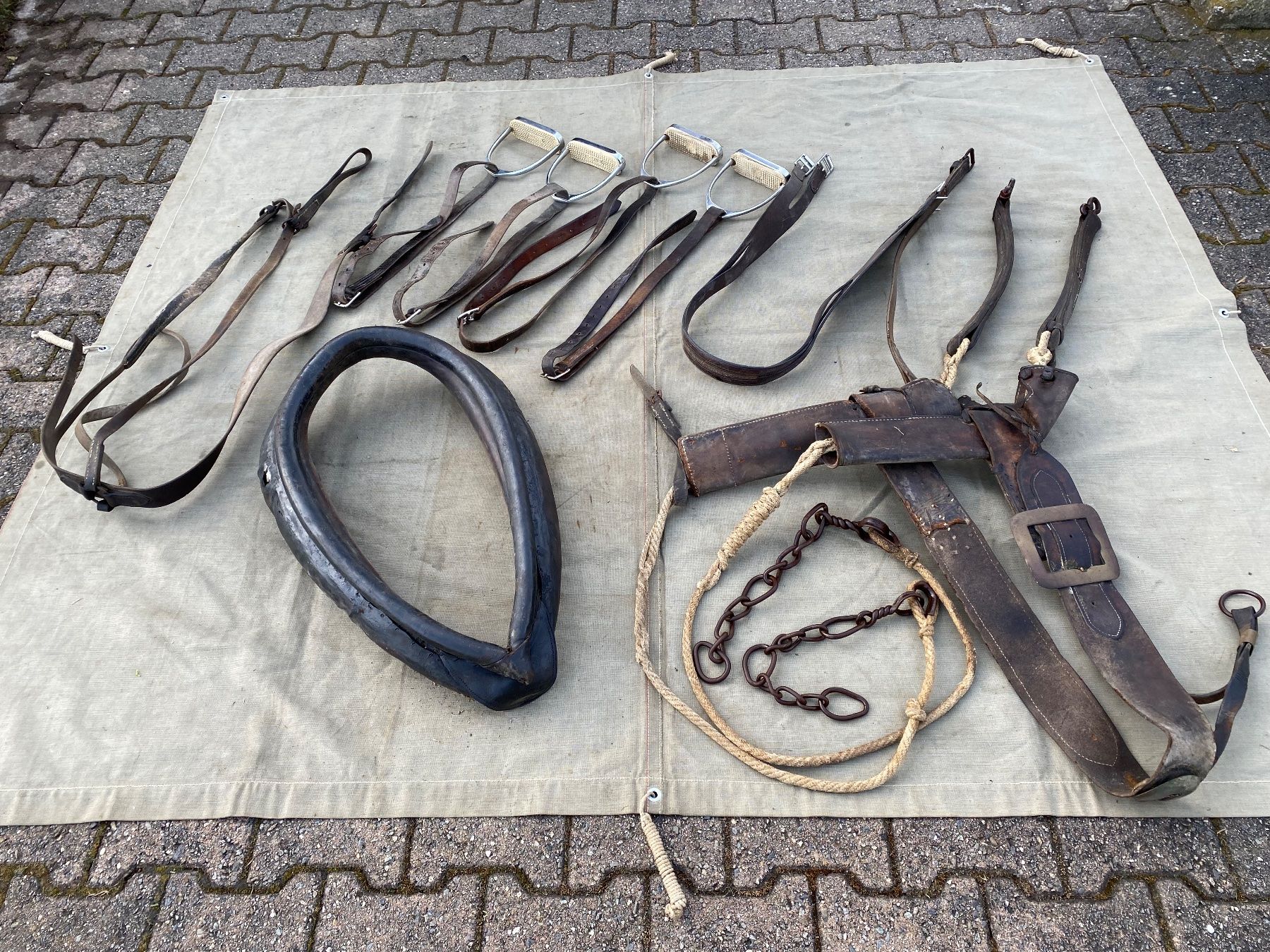 Carrozze: Pferdezubehör Lot – Difettoso da Feldbach venduto da Fea1 3