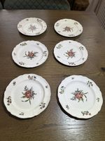 6 Teller Wedgwood Queens Sprays weißes Blumenmuster