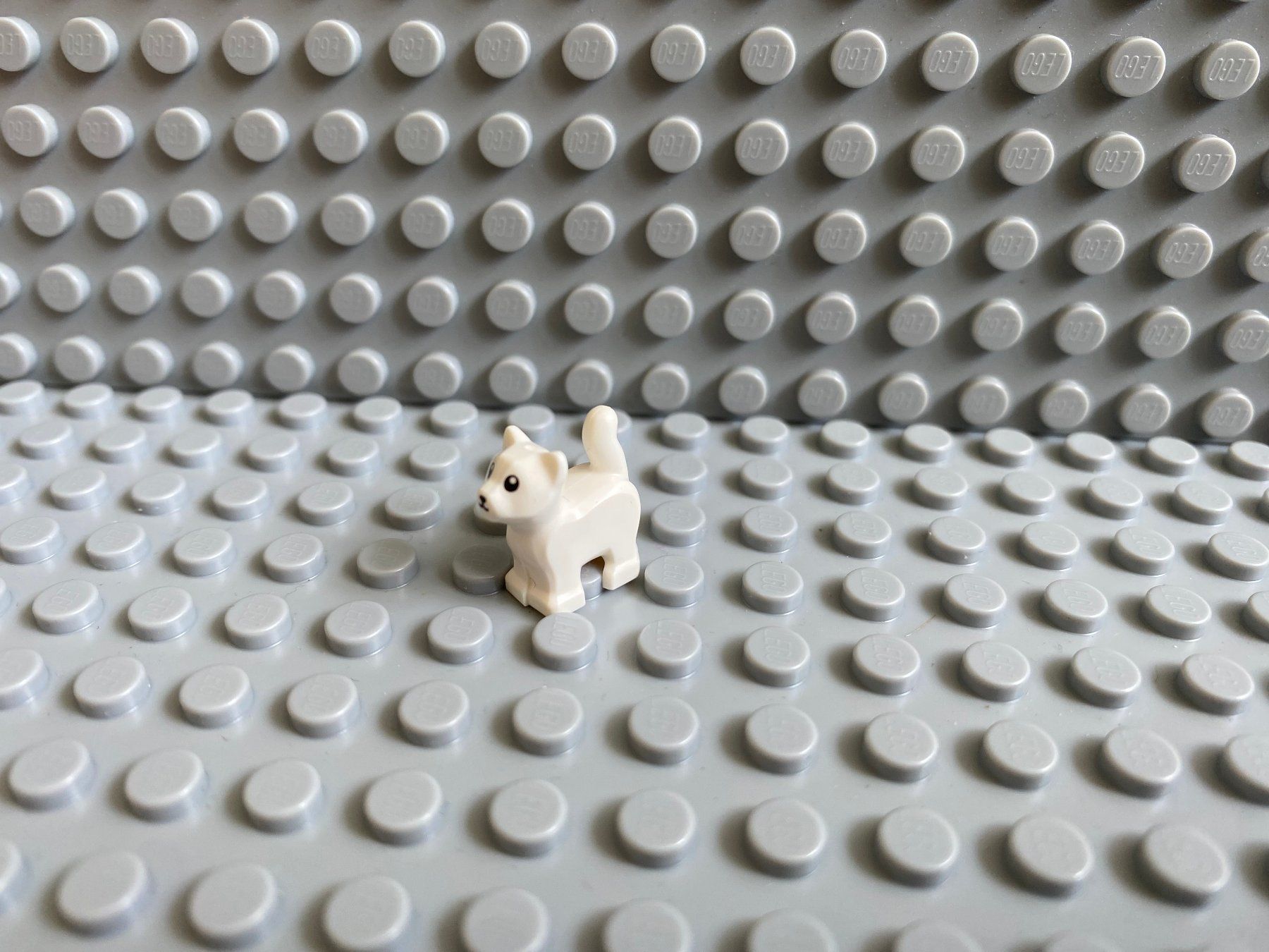 Lego Baukästen: Lego Tiere - Katze Baby – Neu (gemäss Beschreibung) aus Horw von G39517sG