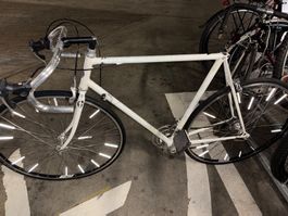 Pinarello Banesto