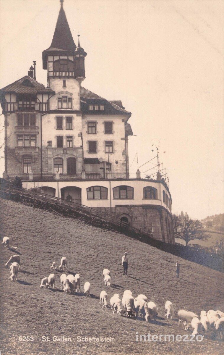 Cartoline postali: St. Gallen // Scheffelstein Schafe – Usato da Basel venduto da intermezzo12