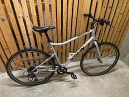 Vélo tout-chemin Riverside 120 Gris – Taille L (Genève)