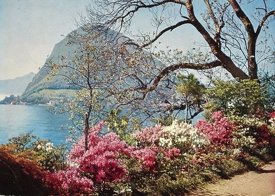 Ansichtskarten: LUGANO Quai – Gebraucht aus Jona von philajona