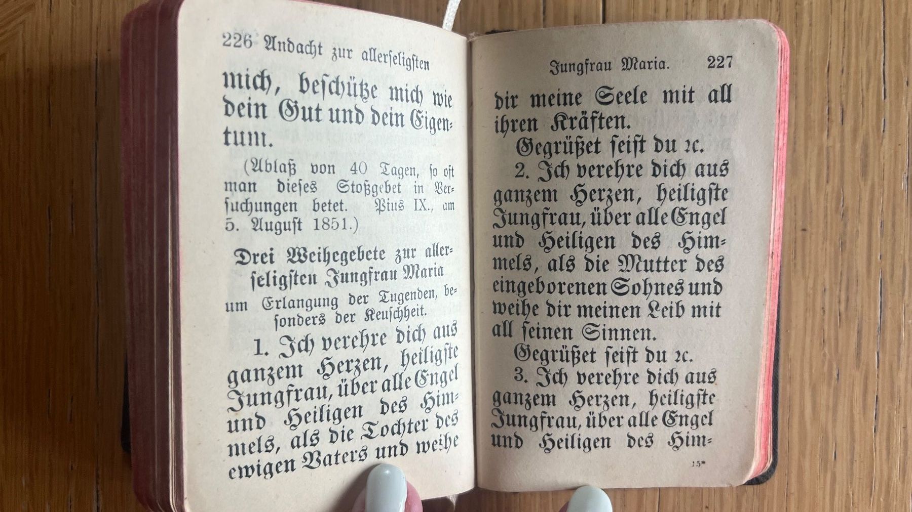 Libri: Antikes Gebetsbuch 1910 – Usato da Schübelbach venduto da Dolly990_2 8