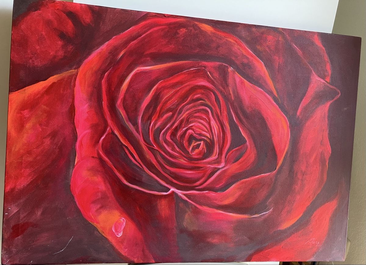 Dipinti: Rote Rose von Cletiu Radu - Clear – Usato da Hindelbank venduto da Scroki