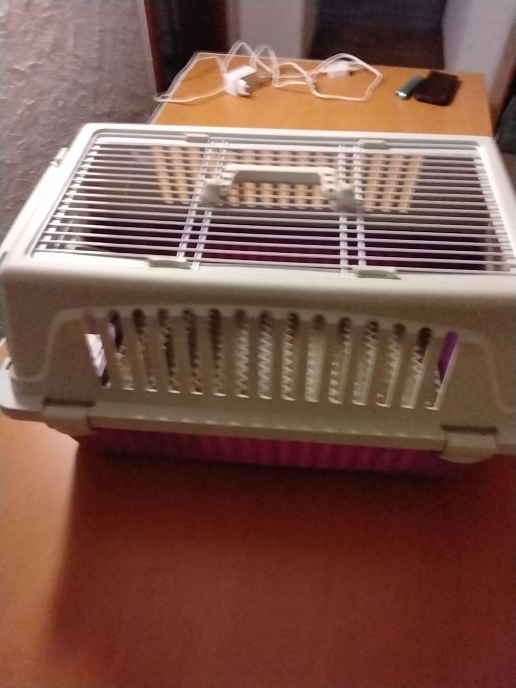 Gabbie, trasporto & Sicurezza: Katzentransportbox – Nuovo (secondo la descrizione) da Sonceboz-Sombeval venduto da Achilles8 2