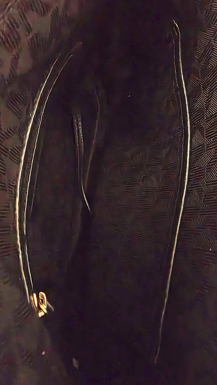 Michael Kors Taschen für Damen: Original Michael Kors Umhängetasche, schwarz – Gebraucht aus Wädenswil von Vegas65 3