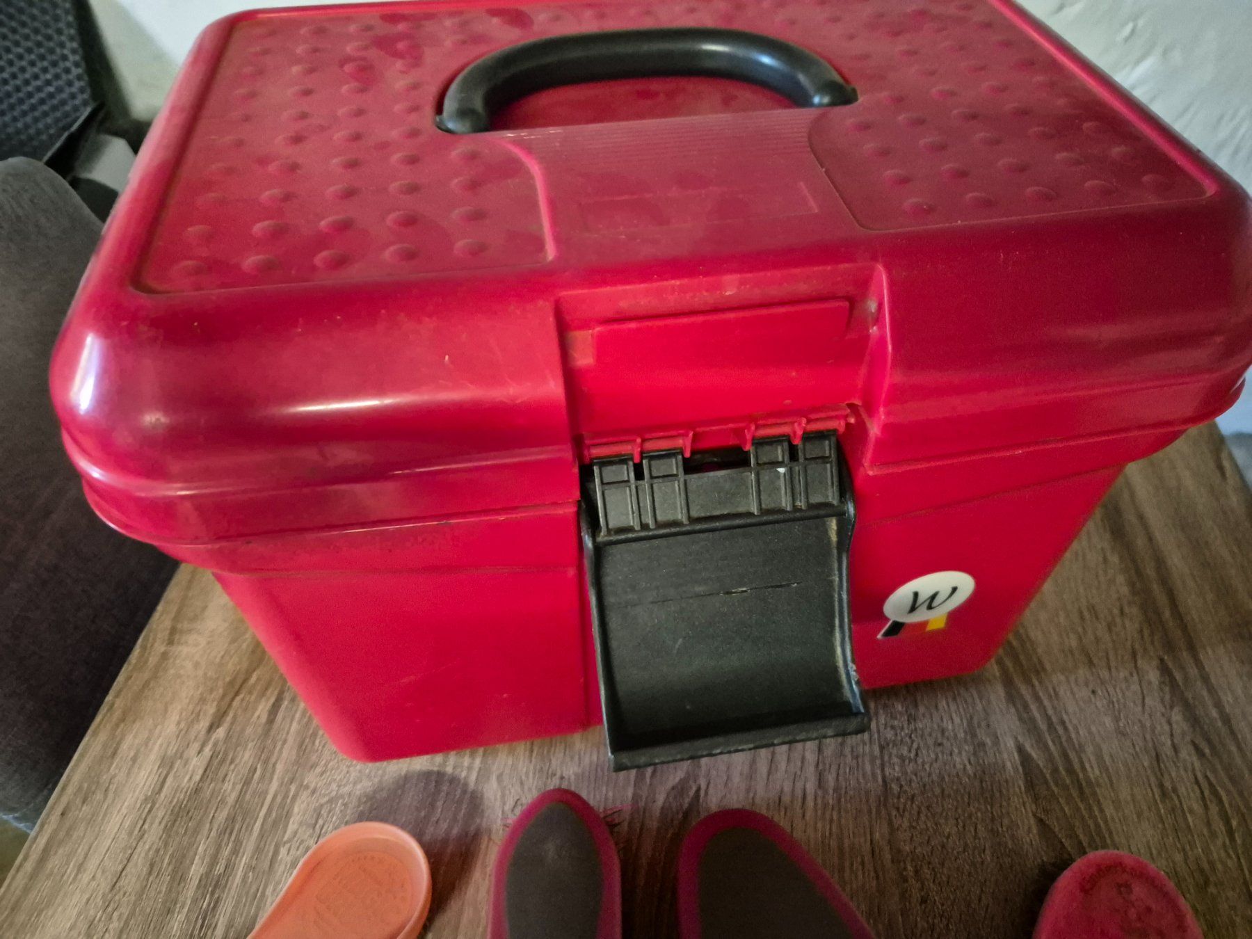 Briglie & Cavezze: Putzbox mit Zubehör – Nuovo (secondo la descrizione) da Meggen venduto da Orrinka20 2