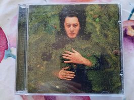 CD Bashung - Fantaisie Militaire