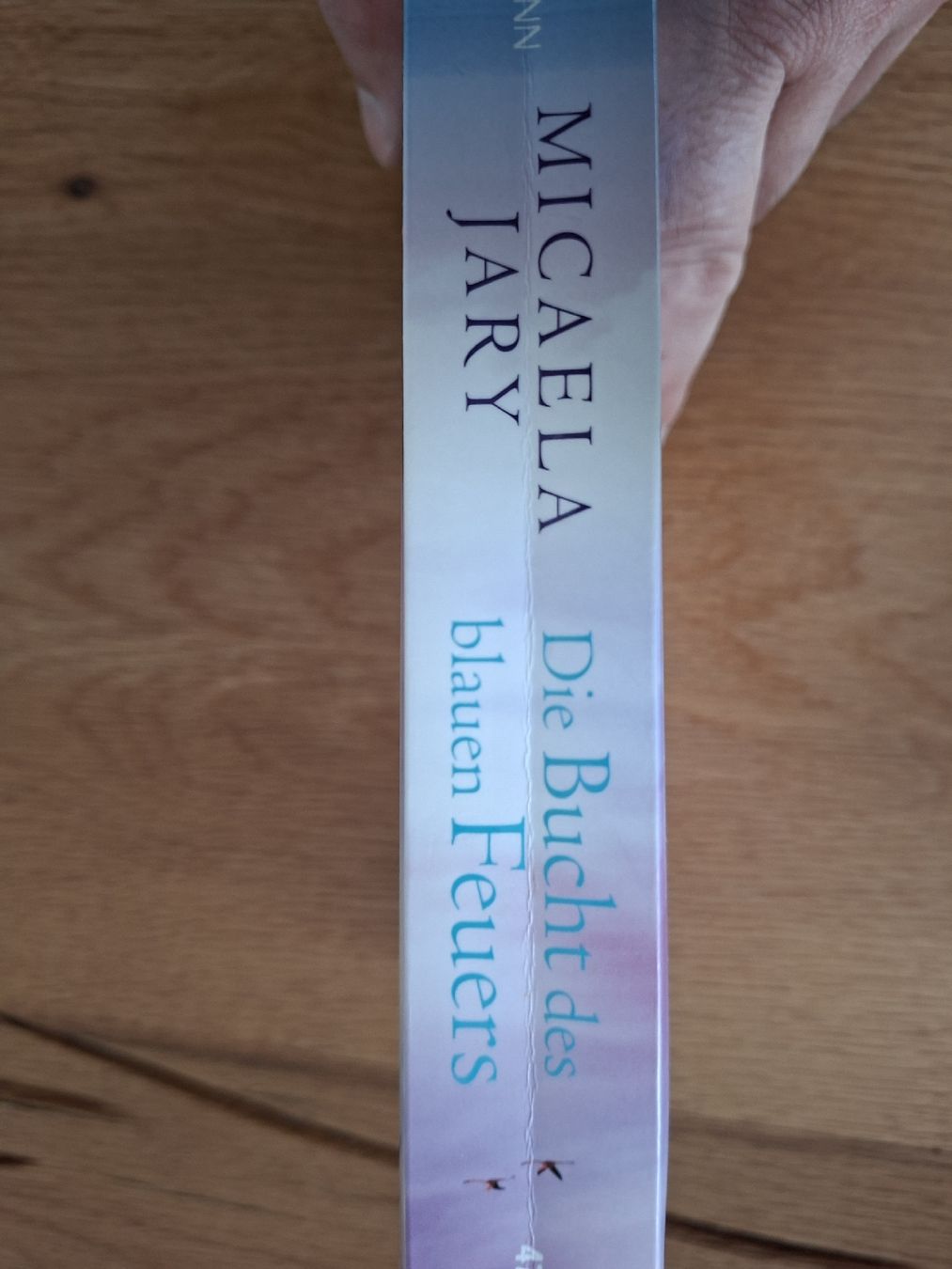 Bücher: Die Bucht des blauen Feuers – Gebraucht aus Appenzell von palme14 2