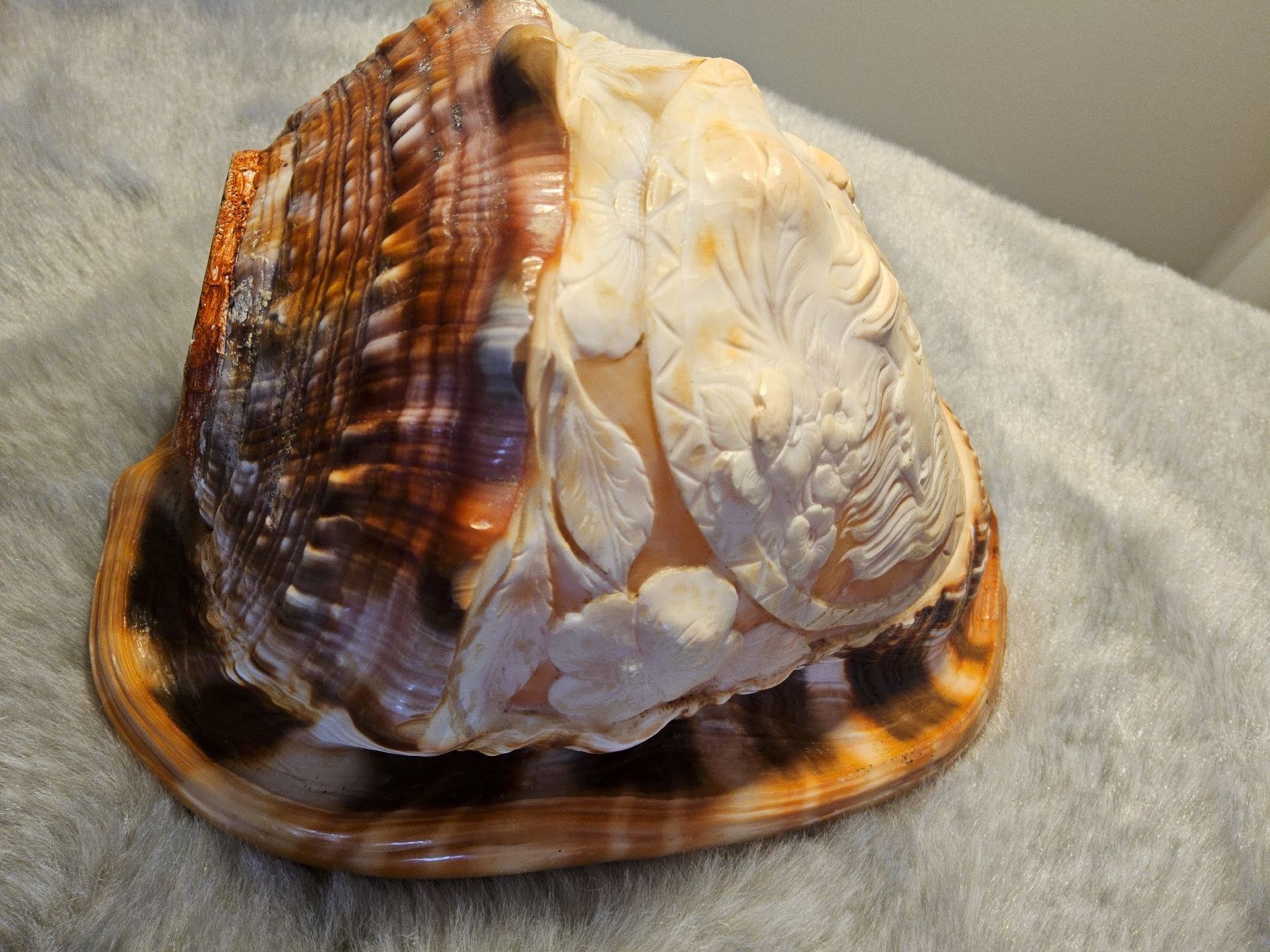 Lampade: Antike Art Déco geschnitzte Conch Shell, ca 1920, Lampe – Usato da Zürich venduto da sanwit 4
