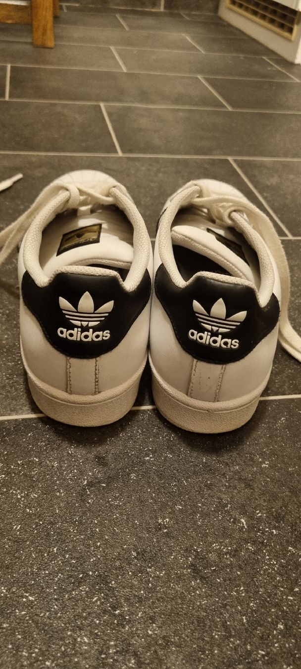 Adidas Chaussures femmes: Adidas Superstar, Grösse 38 2/3 – Neuf (Voir description) à Gattikon par myartshop 2