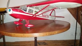Tailor Craft 450 von Horizon Hobby