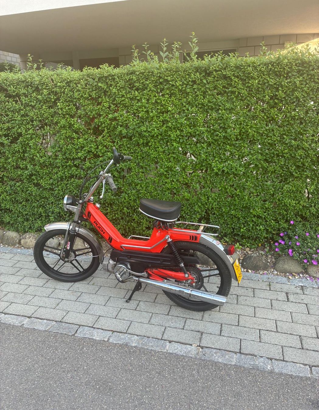 Puch Ciclomotori: Puch Maxi S – Usato da Sirnach venduto da 280804 1