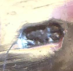 Ringe: Ring 925 mit synthetischen Steinchen – Gebraucht aus Muri AG von Lineli2020 5