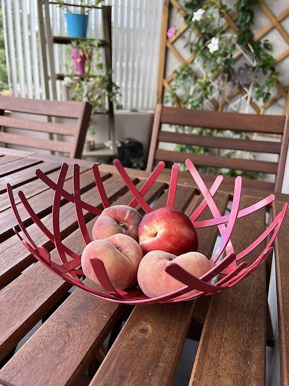 Piatti di portata: Coupe de fruits design rouge – Usato da Versoix venduto da L_armoire_d_isa 3