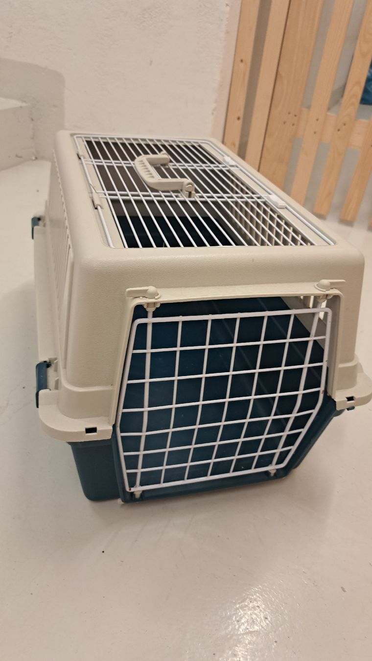 Gabbie, trasporto & Sicurezza: Transportbox Katzen – Usato da Luzern venduto da pumi24