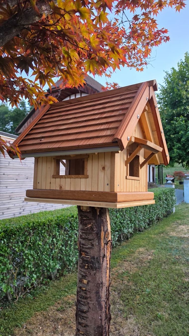 Vogelhäuser: Individuell handgefertigte Vogelhäuser – Gebraucht aus Thun von dan_9bcr