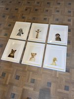 Bilder Kinderzimmer
