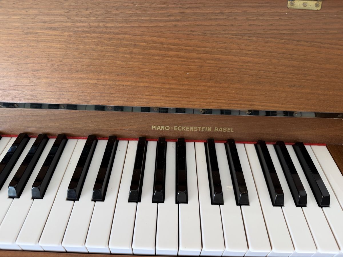 Musikinstrumente: Eckenstein Basel Klavier – Gebraucht aus Pratteln von Salva4133 2