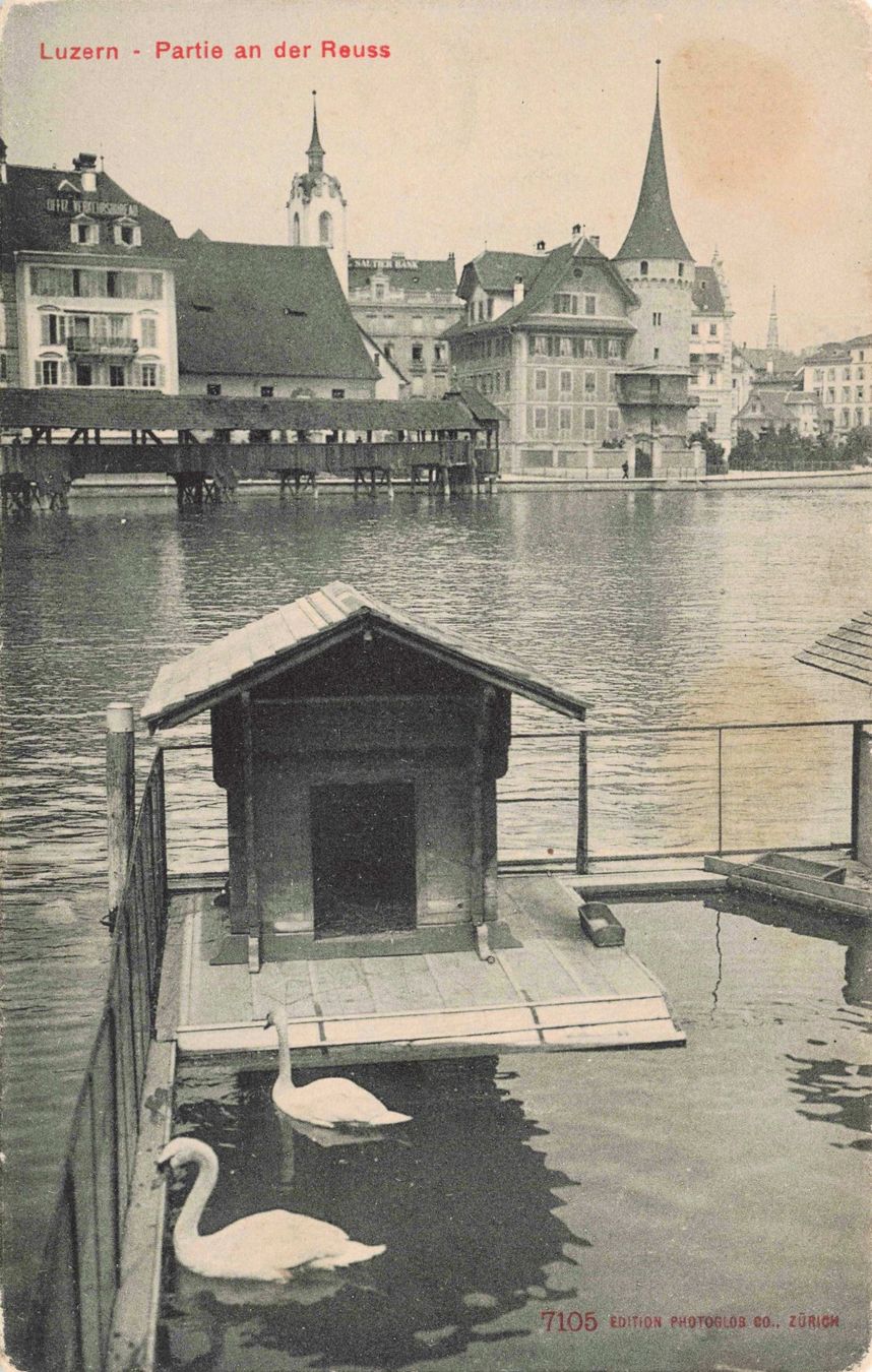 Ansichtskarten: Luzern partie an der reuss – Gebraucht aus Biasca von Blenio71