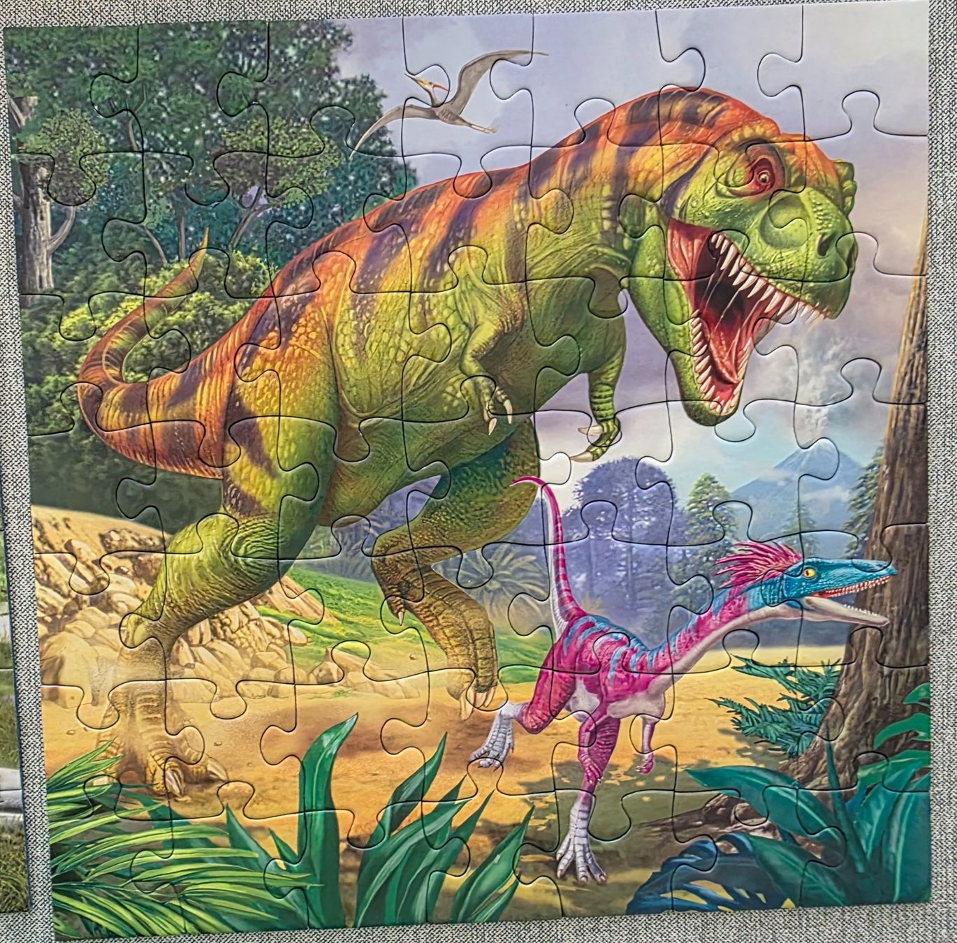 Ravensburger Puzzle: Set Puzzle 5+, 3x 49 Tl / pcs – Usato da Coldrerio venduto da dgv 2