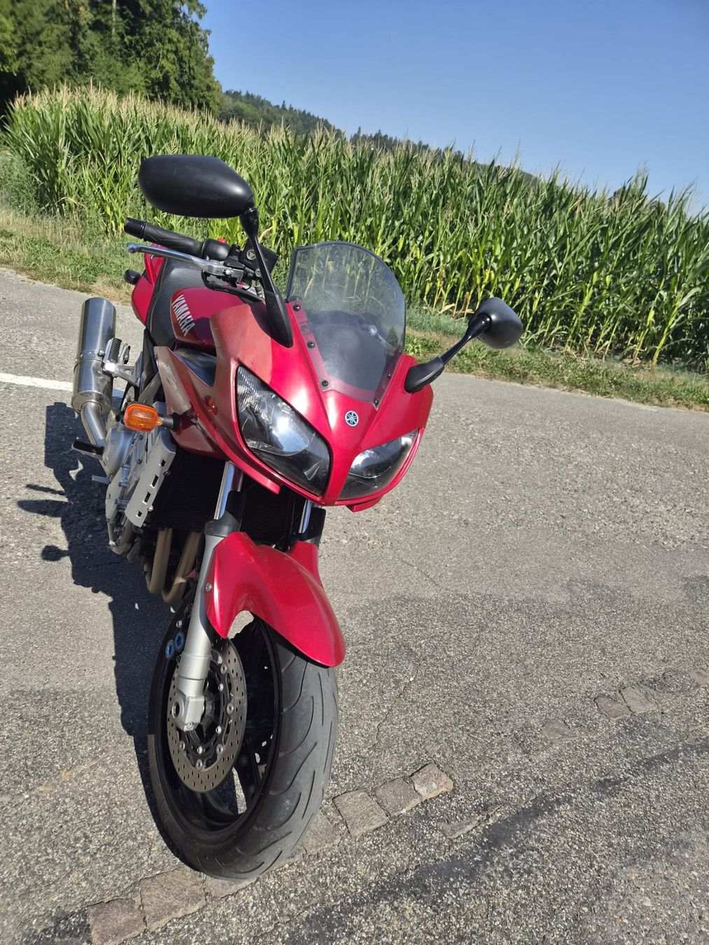 Yamaha Strada: Yamaha FZS1000 – Usato da Riedtwil venduto da molerie 6
