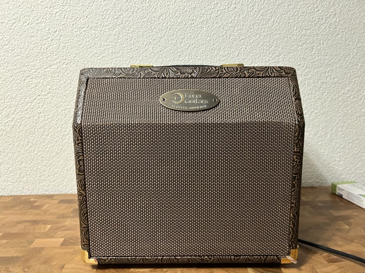 Amplificatori: Luna Akustik Verstärker – Usato da Vitznau venduto da dee_8xbb