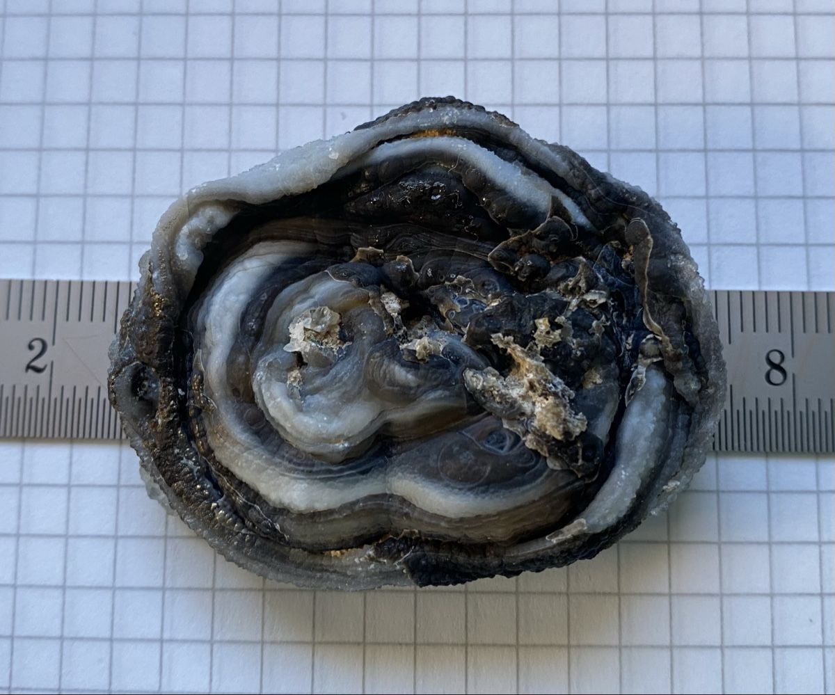 Minéraux & Lithothérapie: Sehr schöne Chalcedonrose  – D'occasion à Selzach par 321compac 5