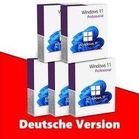 Windows 11 Pro (5 keys)