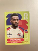 Panini Sticker HAI 9