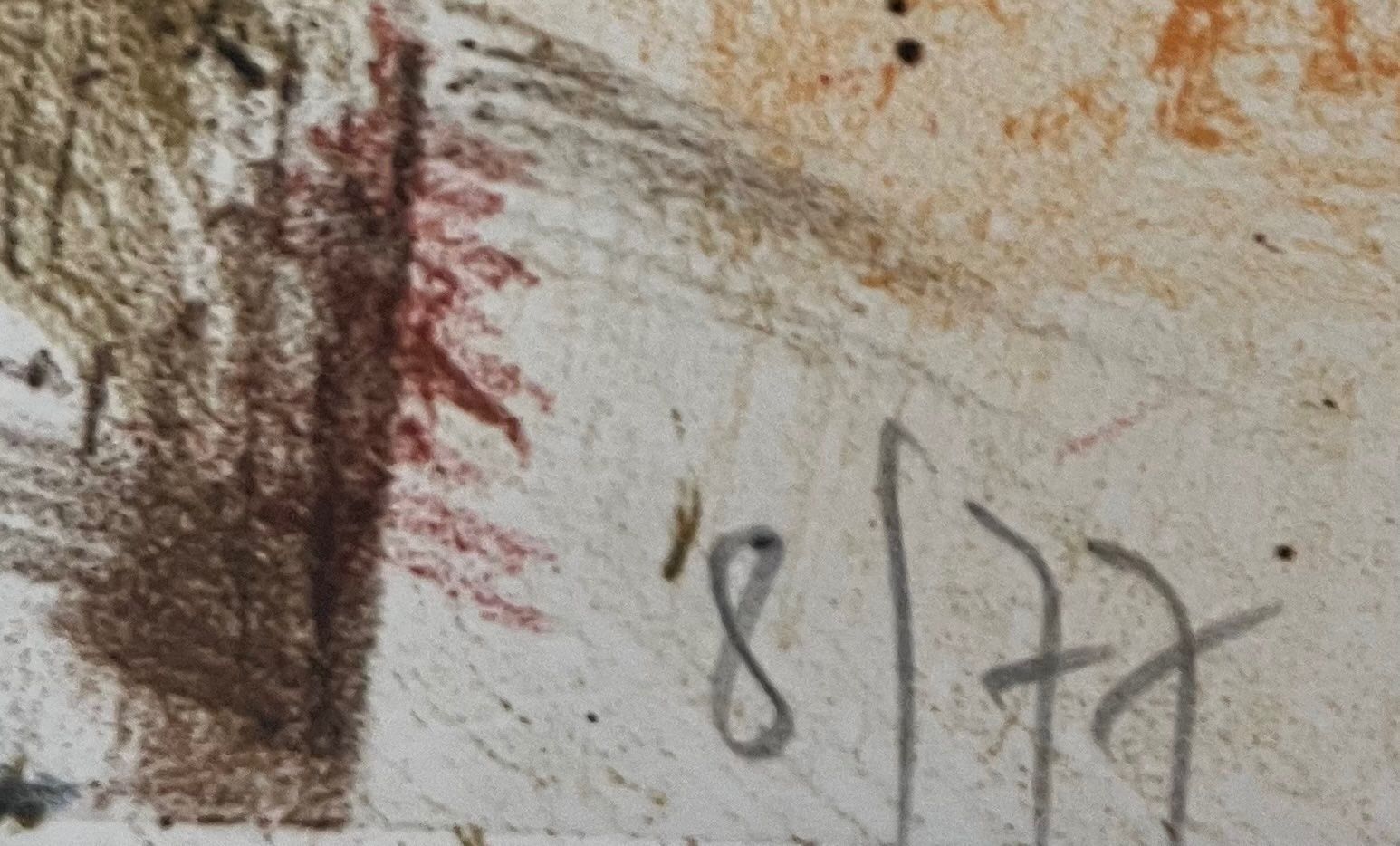 Grafiken & Lithographien: GIANNI VASARI LITHOGRAPHIE SIGNIERT NUMMERIERT – Gebraucht aus Gersau von grafik-kunst 2