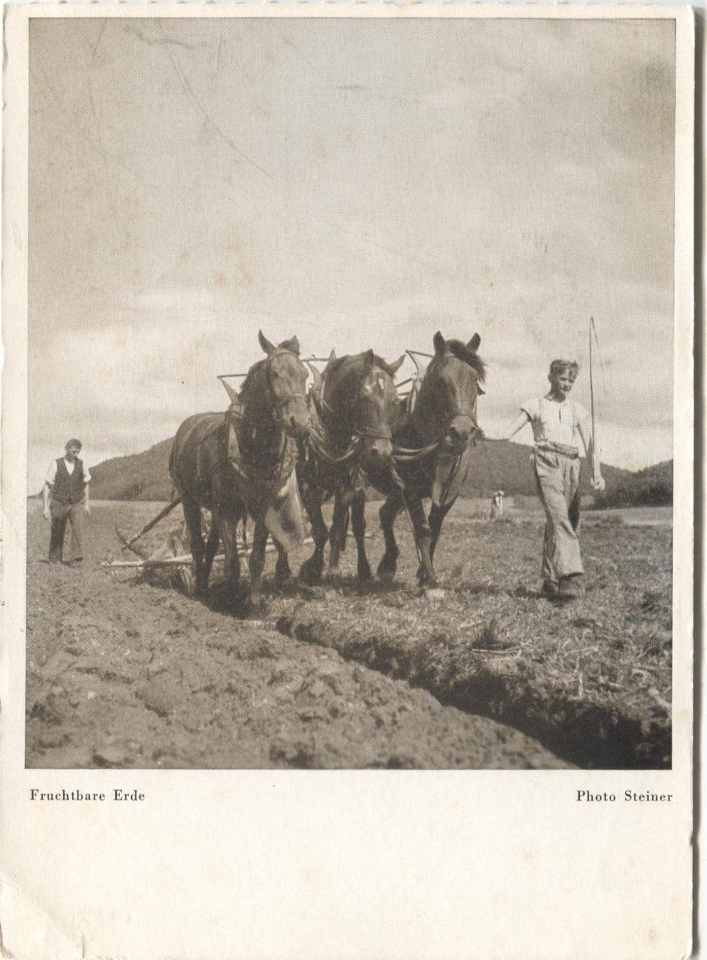 Cartes postales: LANDWIRTSCHAFT 1940 Kanton Bern Ackerbau mit Pferd – D'occasion à Wil SG par Clanx
