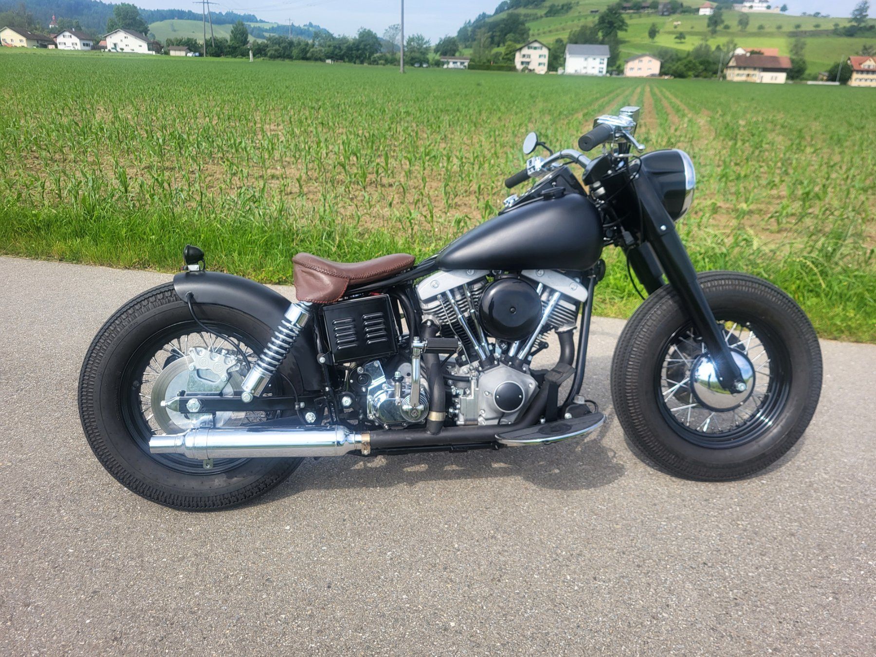 Harley-Davidson Altro: Harley Davidson Shovelhead – Usato da Ettiswil venduto da Metz2 2