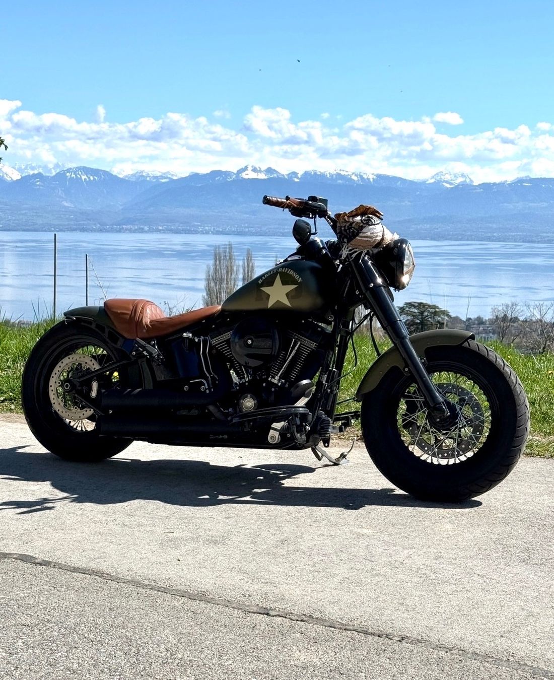 Harley-Davidson Chopper: Harley Davidson FLSS Softail custom – Usato da Rolle venduto da misterarti 6