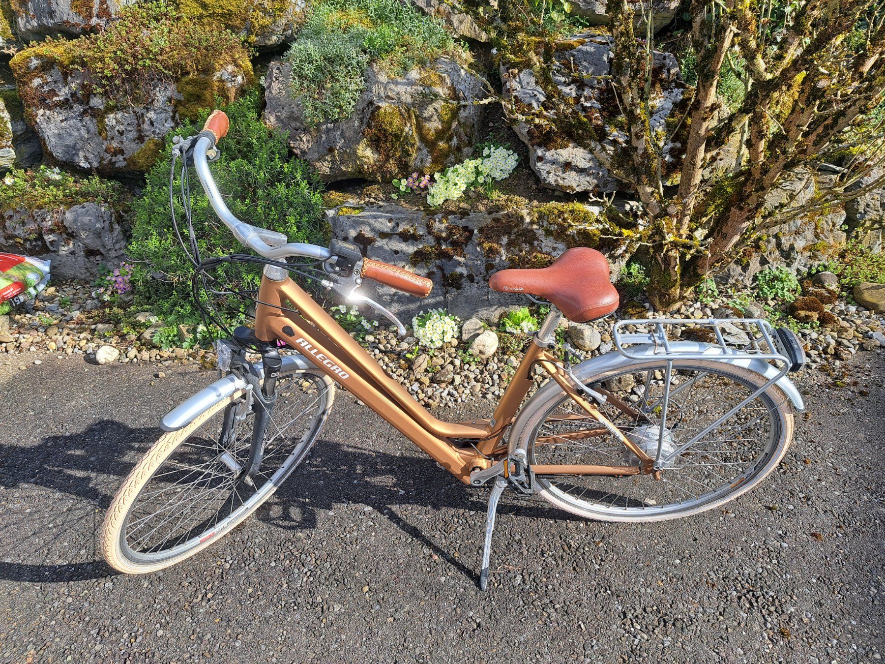 Biciclette: Allegro Invisible City Bronze – Usato da Weisslingen venduto da Horvi_09 1