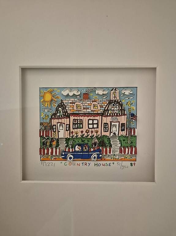 Foto & Immagini: James Rizzi "Country House" – Usato da Möhlin venduto da Dome4313