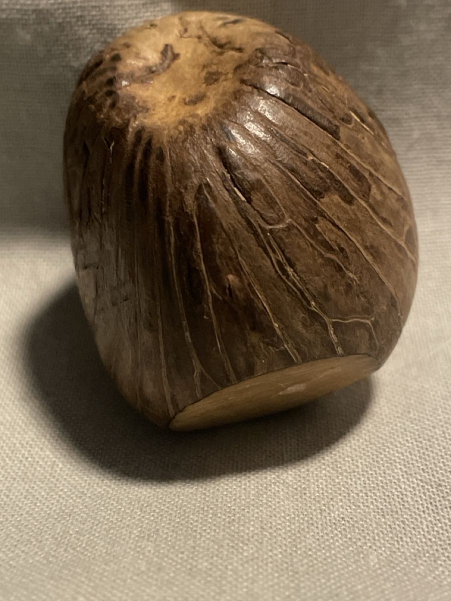 Statuette: Tagua Nuss, geschnitztes Gesicht – Usato da Embrach venduto da Gauvain1 2