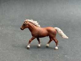 Schleich – Pony Hengst [Classic Pony] aus Set 42481