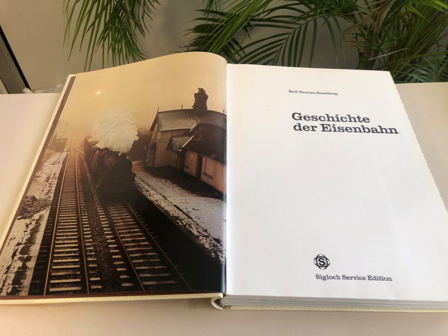 Libri: Buch "Geschichte der Eisenbahn" ! – Usato da Brügg BE venduto da rutschimedizin 4