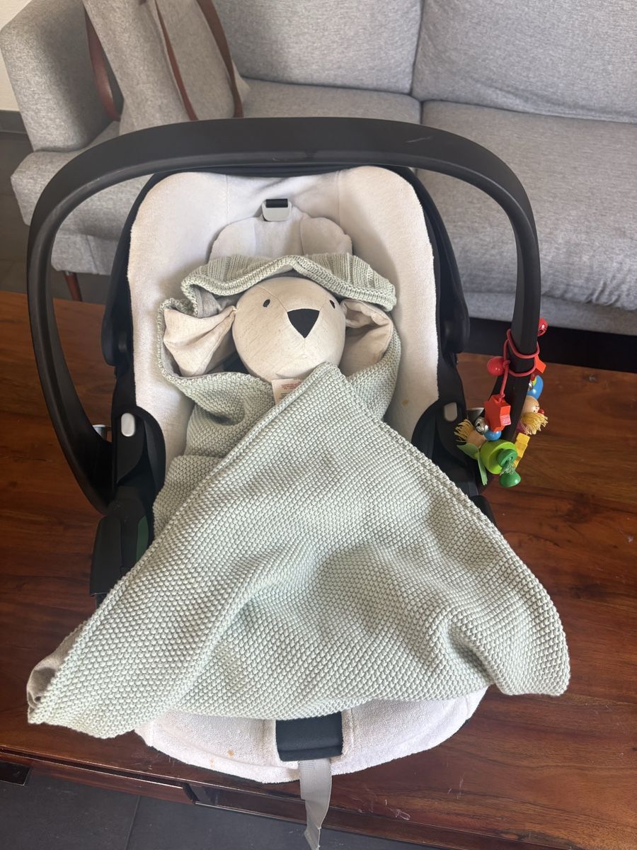 Lässig Coperte: Decke für Maxi Cosi – Nuovo (secondo la descrizione) da Grüt (Gossau ZH) venduto da fab_xmy9
